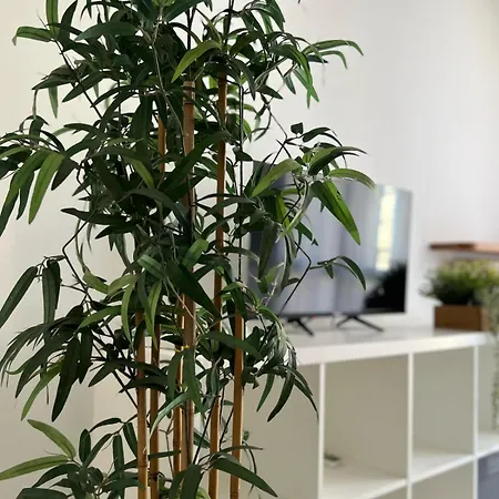 La Casa Di Sara Lägenhet Cervia